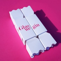 Glaswegin, Raspberry & Rhubarb Gin Cracker 5cl